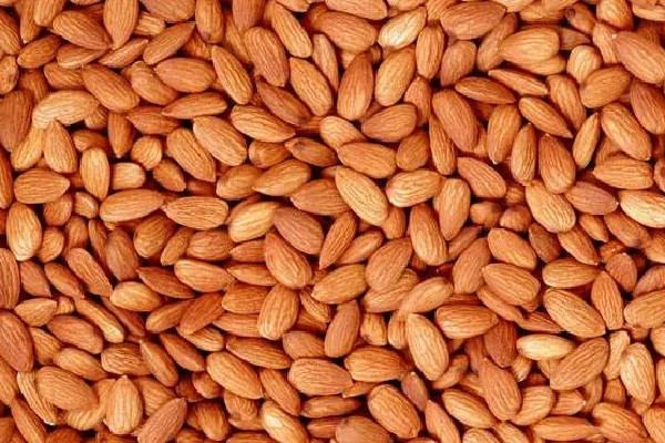 苦杏仁會導致流產(chǎn)嗎 ?苦杏仁對孕婦有影響嗎