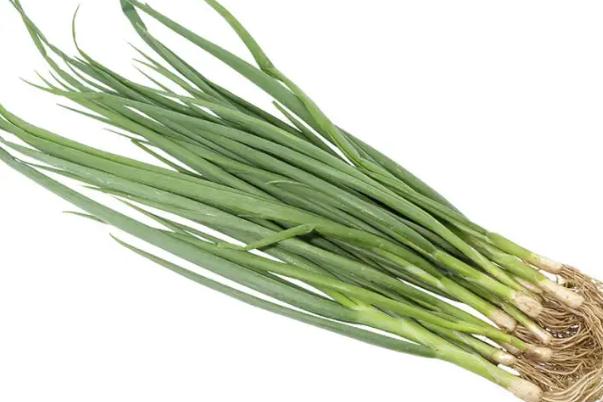 小蔥有白點(diǎn)是怎么回事 小蔥有寄生蟲嗎