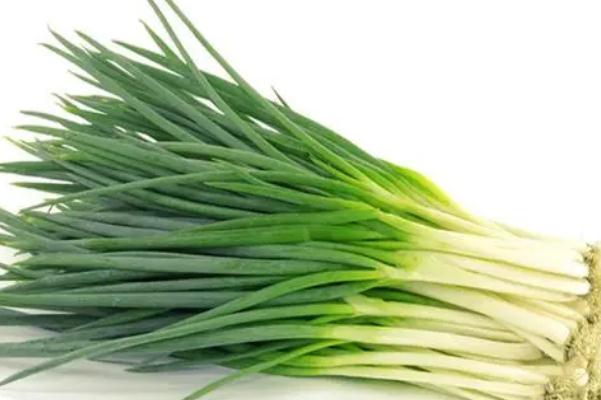 小蔥和香蔥的區(qū)別 小蔥是蔬菜嗎 小蔥和香蔥的區(qū)別 小蔥是蔬菜嗎