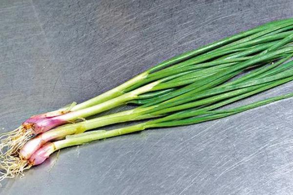 小蔥和香蔥的區(qū)別 小蔥是蔬菜嗎 小蔥和香蔥的區(qū)別 小蔥是蔬菜嗎
