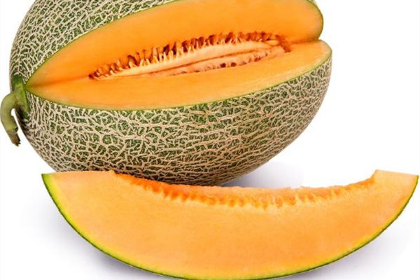 哈密瓜什么季節(jié)吃比較好 哈密瓜買什么樣的好吃 哈密瓜什么季節(jié)吃比較好 哈密瓜買什么樣的好吃