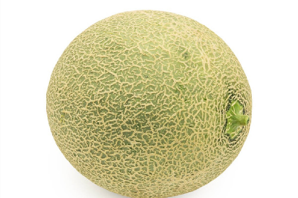 哈密瓜減肥期間可以吃嗎 哈密瓜適合什么時候吃 哈密瓜減肥期間可以吃嗎 哈密瓜適合什么時候吃