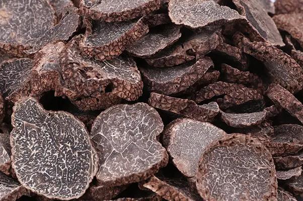 黑松露的危害 黑松露是蘑菇嗎 黑松露的危害 黑松露是蘑菇嗎