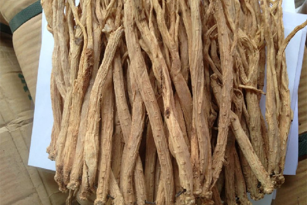 黨參對(duì)男性性功能有幫助嗎 黨參可以補(bǔ)腎嗎 黨參對(duì)男性性功能有幫助嗎 黨參可以補(bǔ)腎嗎