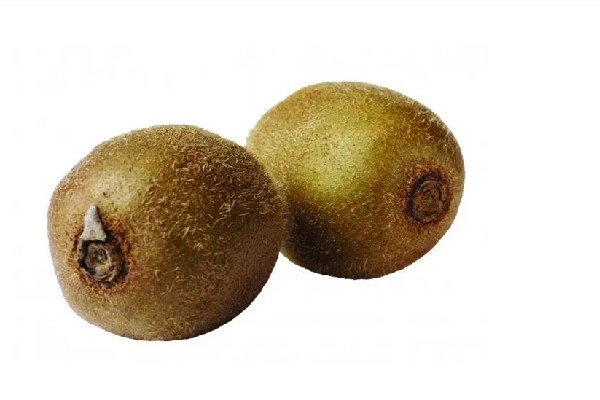 獼猴桃有點(diǎn)硬能吃嗎 獼猴桃要多久才能變軟 獼猴桃有點(diǎn)硬能吃嗎 獼猴桃要多久才能變軟