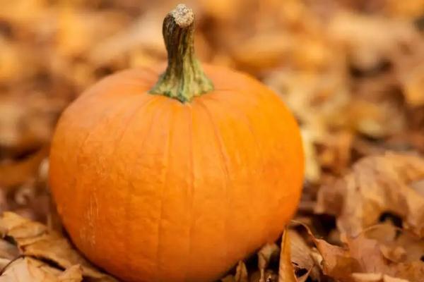 南瓜是碳水嗎 南瓜要蒸多久 南瓜是碳水嗎 南瓜要蒸多久