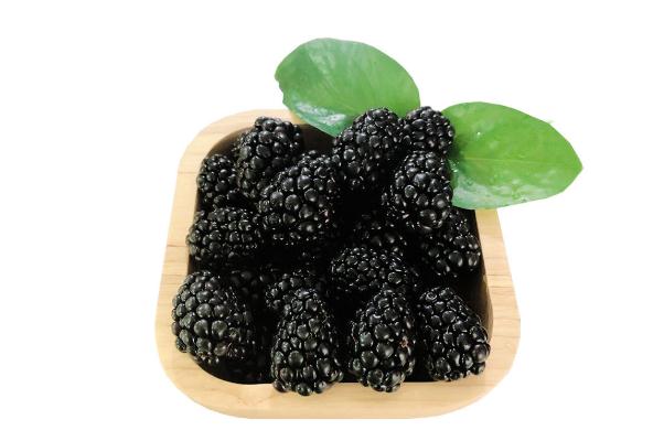 黑樹莓有刺嗎 黑樹莓有什么營養(yǎng) 黑樹莓有刺嗎 黑樹莓有什么營養(yǎng)