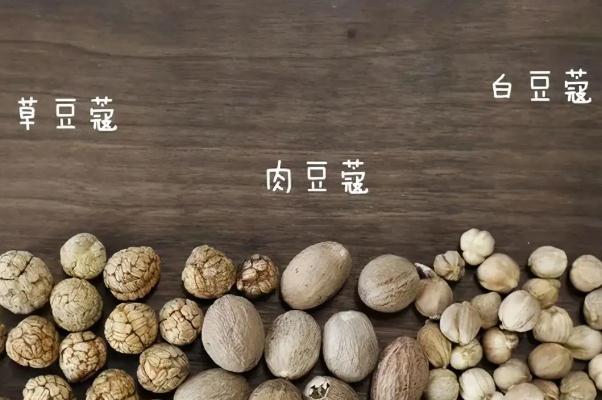 白蔻的作用與功效 白蔻作為香料起什么作用 白蔻的作用與功效 白蔻作為香料起什么作用