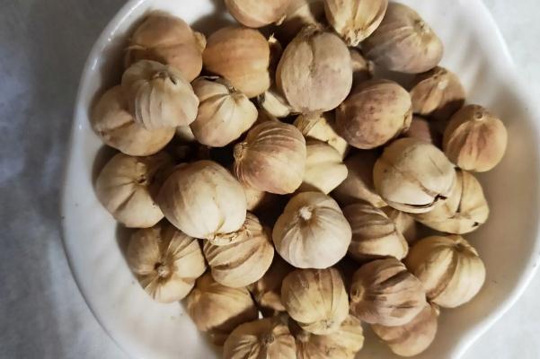 白蔻的作用與功效 白蔻作為香料起什么作用 白蔻的作用與功效 白蔻作為香料起什么作用