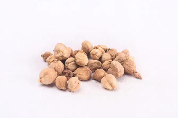 白蔻的作用與功效 白蔻作為香料起什么作用 白蔻的作用與功效 白蔻作為香料起什么作用