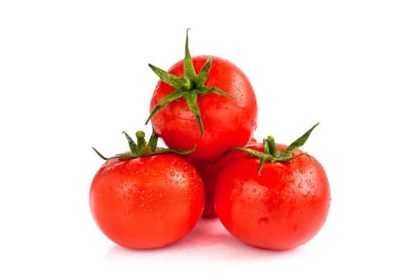 番茄的禁忌人群 番茄的熱量 番茄的禁忌人群 番茄的熱量