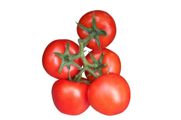 番茄有黑點還能吃嗎 番茄有尖尖是什么原因 番茄有黑點還能吃嗎 番茄有尖尖是什么原因