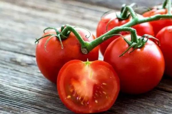 番茄有黑點還能吃嗎 番茄有尖尖是什么原因 番茄有黑點還能吃嗎 番茄有尖尖是什么原因