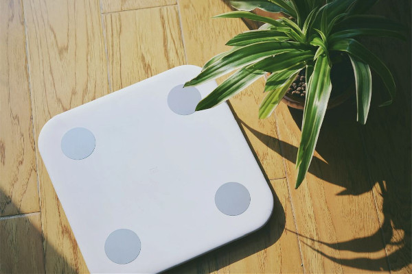 體脂秤可以測(cè)出哪些數(shù)據(jù) 體脂秤可以測(cè)基礎(chǔ)代謝嗎 體脂秤可以測(cè)出哪些數(shù)據(jù) 體脂秤可以測(cè)基礎(chǔ)代謝嗎