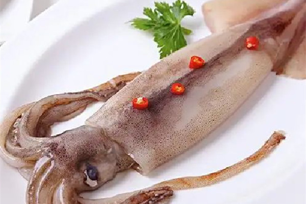 魷魚(yú)屬于高蛋白食物嗎 魷魚(yú)是發(fā)物嗎 魷魚(yú)屬于高蛋白食物嗎 魷魚(yú)是發(fā)物嗎