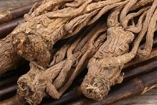 當(dāng)歸燉湯要切片嗎 當(dāng)歸燉湯要燉多久 當(dāng)歸燉湯要切片嗎 當(dāng)歸燉湯要燉多久