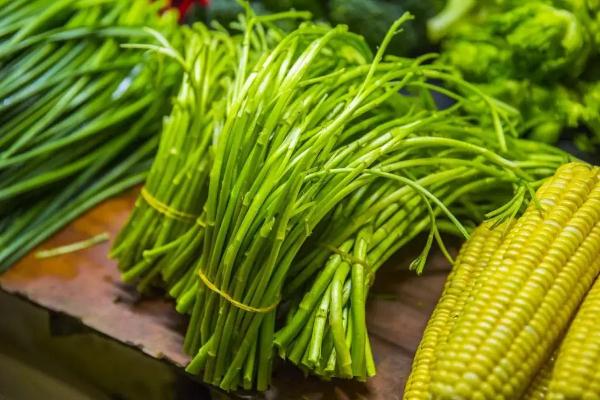 藜蒿孕婦可以吃嗎 藜蒿是什么菜 藜蒿孕婦可以吃嗎 藜蒿是什么菜