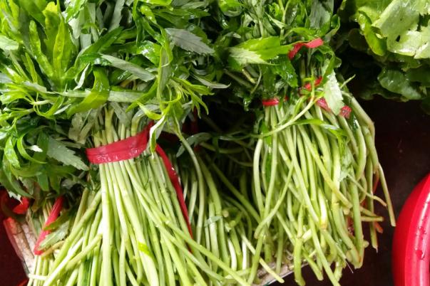 藜蒿孕婦可以吃嗎 藜蒿是什么菜 藜蒿孕婦可以吃嗎 藜蒿是什么菜