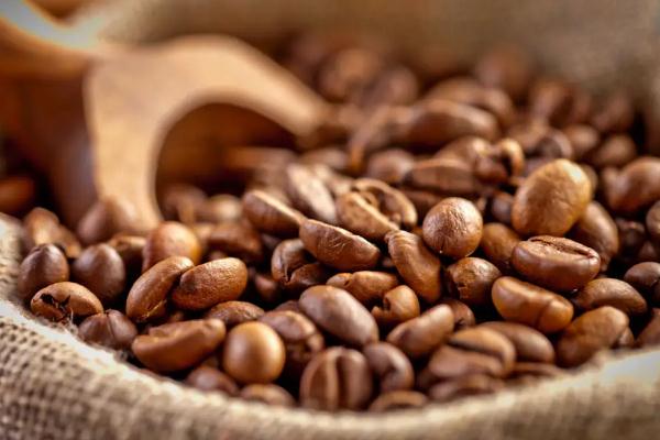 咖啡豆是熱性還是涼性 咖啡豆是貓拉的屎嗎