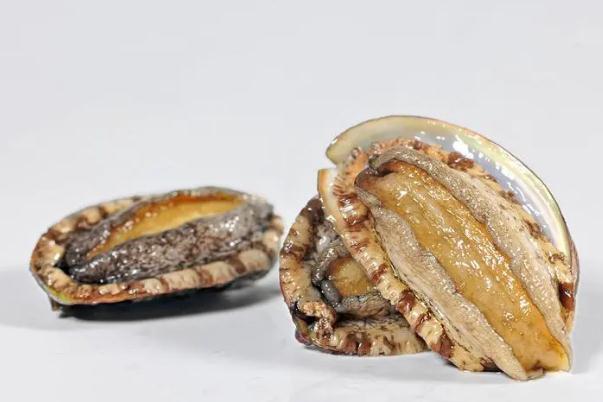 鮑魚(yú)有牙齒嗎 鮑魚(yú)有幾頭什么意思 鮑魚(yú)有牙齒嗎 鮑魚(yú)有幾頭什么意思