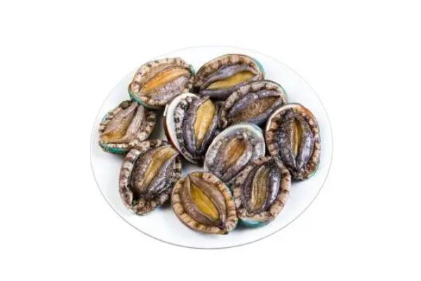 鮑魚(yú)有牙齒嗎 鮑魚(yú)有幾頭什么意思 鮑魚(yú)有牙齒嗎 鮑魚(yú)有幾頭什么意思