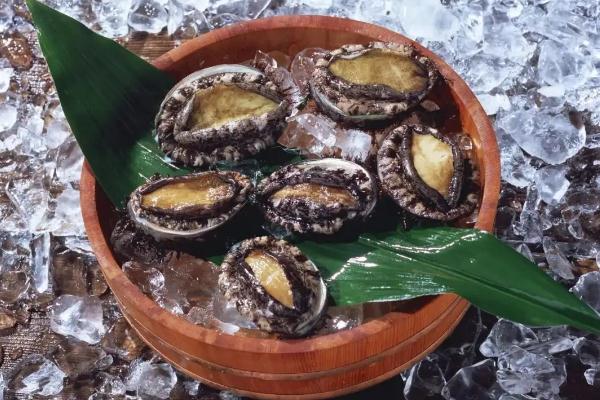 鮑魚對女人作用與功效 鮑魚對男人作用與功效 鮑魚對女人作用與功效 鮑魚對男人作用與功效