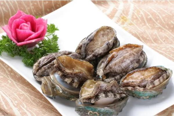 鮑魚要蒸多少時間才能熟 鮑魚要焯水嗎 鮑魚要蒸多少時間才能熟 鮑魚要焯水嗎