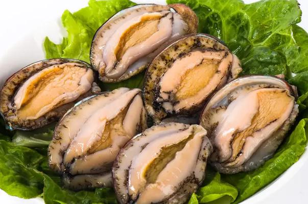 鮑魚屬于甲殼動物還是軟體動物 鮑魚煮多久才可以吃 鮑魚屬于甲殼動物還是軟體動物 鮑魚煮多久才可以吃