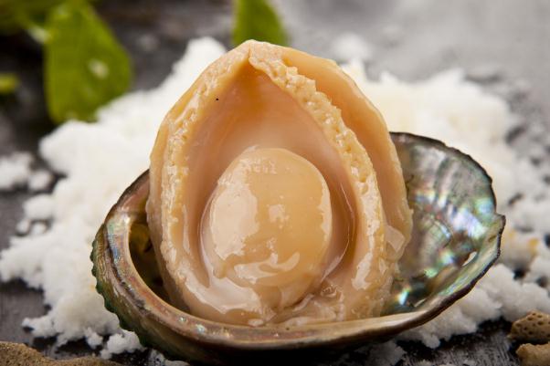 鮑魚(yú)對(duì)減肥有效果嗎 鮑魚(yú)對(duì)眼睛有好處嗎