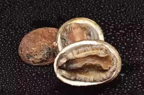 鮑魚(yú)對(duì)減肥有效果嗎 鮑魚(yú)對(duì)眼睛有好處嗎