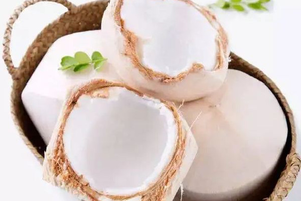 椰青有點(diǎn)酸酸的能喝嗎 椰青為什么發(fā)酸 椰青有點(diǎn)酸酸的能喝嗎 椰青為什么發(fā)酸