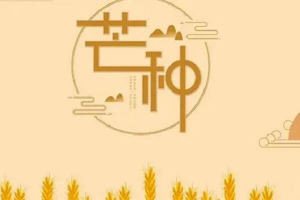 芒種是夏季的第幾個(gè)節(jié)氣 芒種屬于哪個(gè)季節(jié)