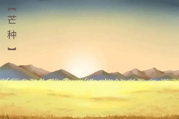 芒種的氣候特點(diǎn) 芒種要注意什么 芒種的氣候特點(diǎn) 芒種要注意什么