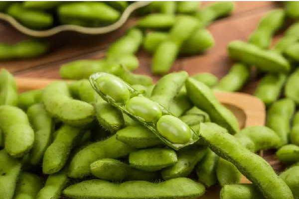毛豆多少錢(qián)一斤 毛豆煮多長(zhǎng)時(shí)間能熟