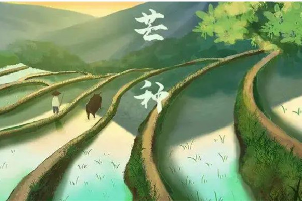 芒種的氣候特點(diǎn) 芒種要注意什么 芒種的氣候特點(diǎn) 芒種要注意什么