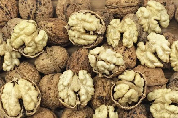 紙皮核桃和普通核桃哪個(gè)營養(yǎng)價(jià)值高 紙皮核桃和普通核桃區(qū)別