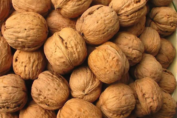 紙皮核桃有營養(yǎng)嗎 紙皮核桃的功效與作用 紙皮核桃有營養(yǎng)嗎 紙皮核桃的功效與作用