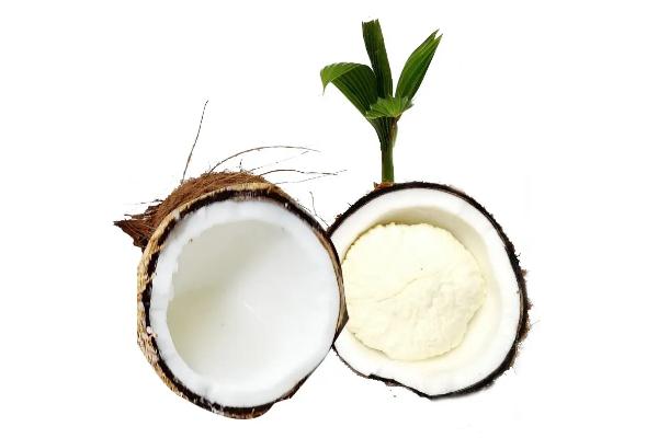 椰寶好吃嗎 椰寶的正確打開(kāi)方式