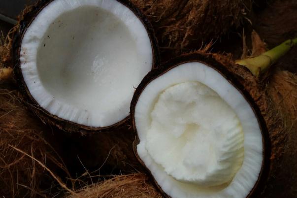 椰寶好吃嗎 椰寶的正確打開(kāi)方式