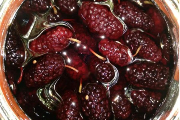 桑葚酒的泡法和比例 桑葚酒用多少度的酒泡最好 桑葚酒的泡法和比例 桑葚酒用多少度的酒泡最好