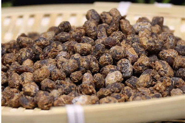 豆豉可以做哪些家常菜 豆豉和什么搭配做菜好吃 豆豉可以做哪些家常菜 豆豉和什么搭配做菜好吃