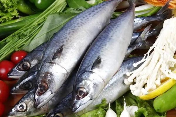 鲅魚(yú)的營(yíng)養(yǎng)價(jià)值及功效與作用 鲅魚(yú)是海魚(yú)還是淡水魚(yú)