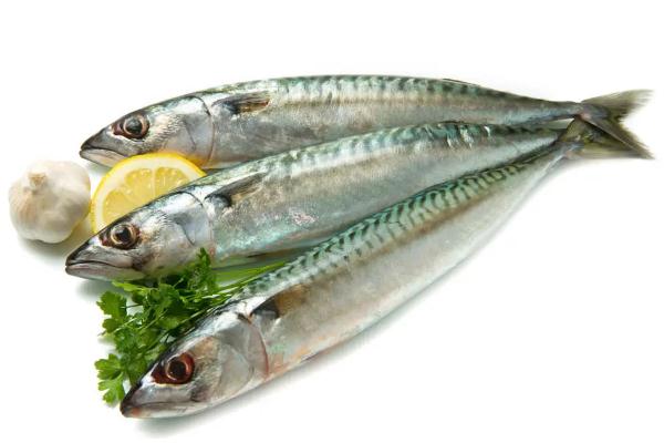 鲅魚(yú)會(huì)引起過(guò)敏嗎 吃鲅魚(yú)過(guò)敏的癥狀是什么