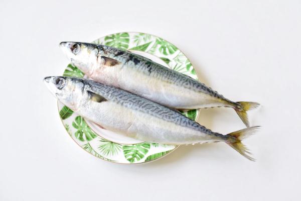 鲅魚(yú)對(duì)身體有什么好處 鲅魚(yú)對(duì)胃好嗎