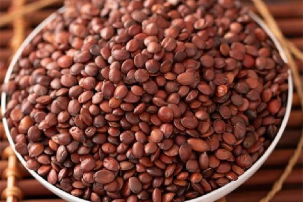 酸棗仁可以天天泡水喝嗎 酸棗仁多久吃一次為好 酸棗仁可以天天泡水喝嗎 酸棗仁多久吃一次為好