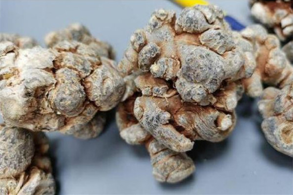 三七買粉還是買整個好 三七怎么挑選啥樣的為最好 三七買粉還是買整個好 三七怎么挑選啥樣的為最好