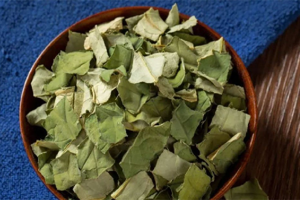 干荷葉和新鮮荷葉哪個(gè)效果好 干荷葉多少錢(qián)一斤