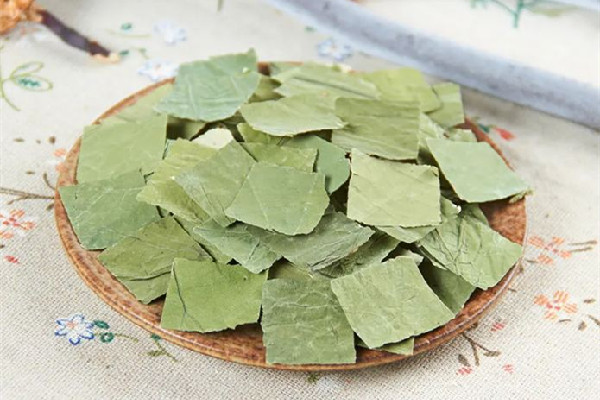 干荷葉會(huì)不會(huì)發(fā)霉 干荷葉發(fā)霉了洗凈曬干還能用嗎