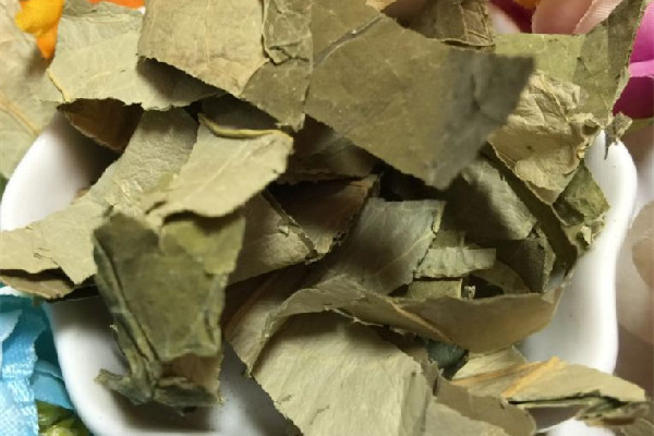 干荷葉和新鮮荷葉哪個(gè)效果好 干荷葉多少錢(qián)一斤