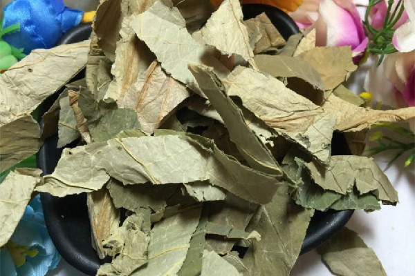 干荷葉和新鮮荷葉哪個(gè)效果好 干荷葉多少錢(qián)一斤